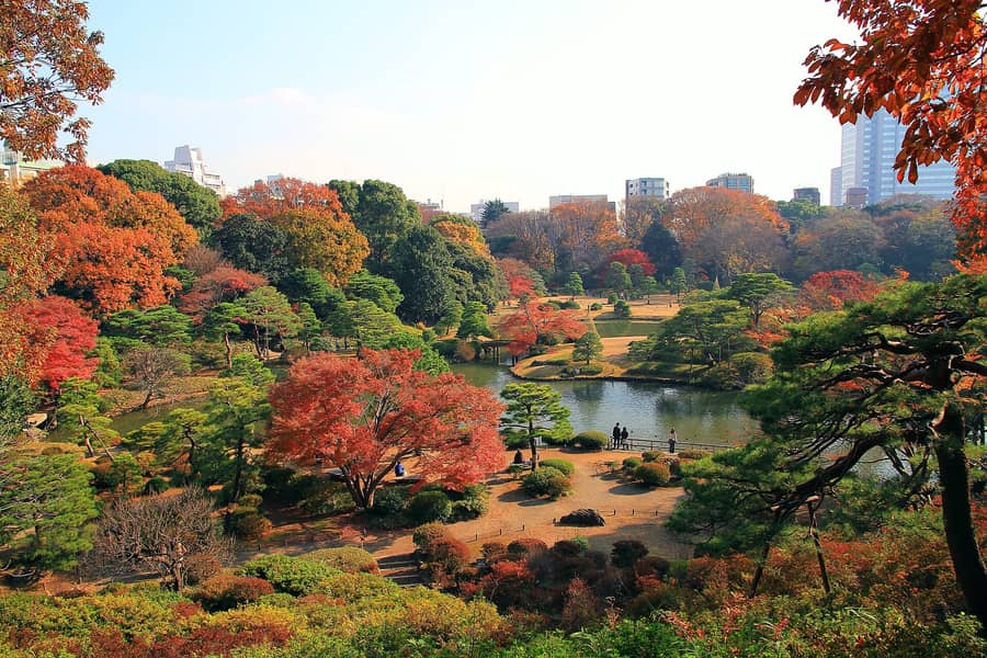 江戸時代の大名がつくった日本庭園。池のまわりのもみじが赤く染まります。