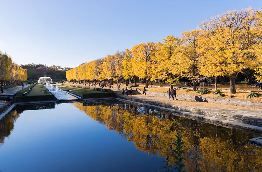 Showa Kinen Park