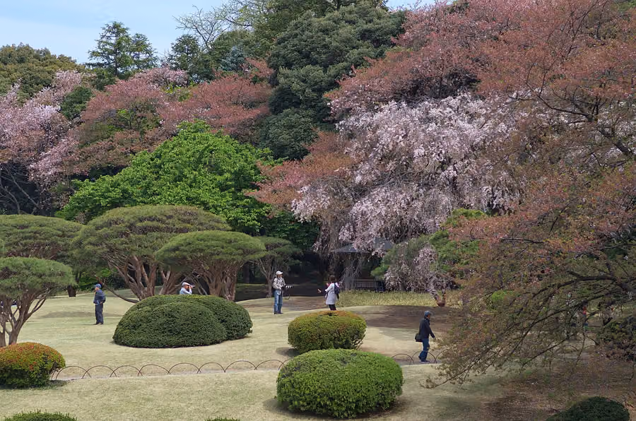 Shinjuku Gyoen