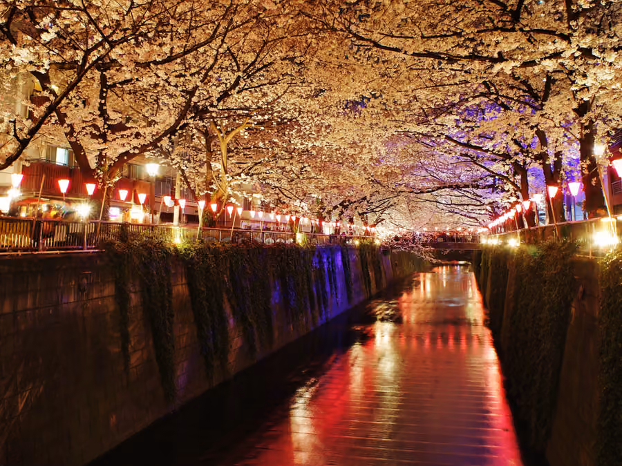 Meguro River