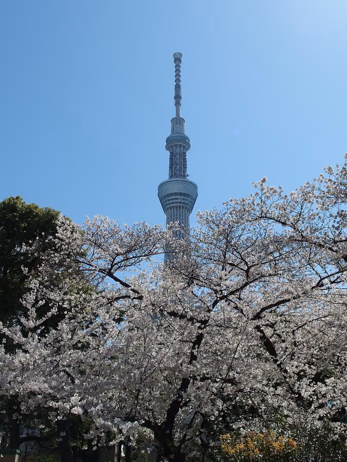 Sumida Park