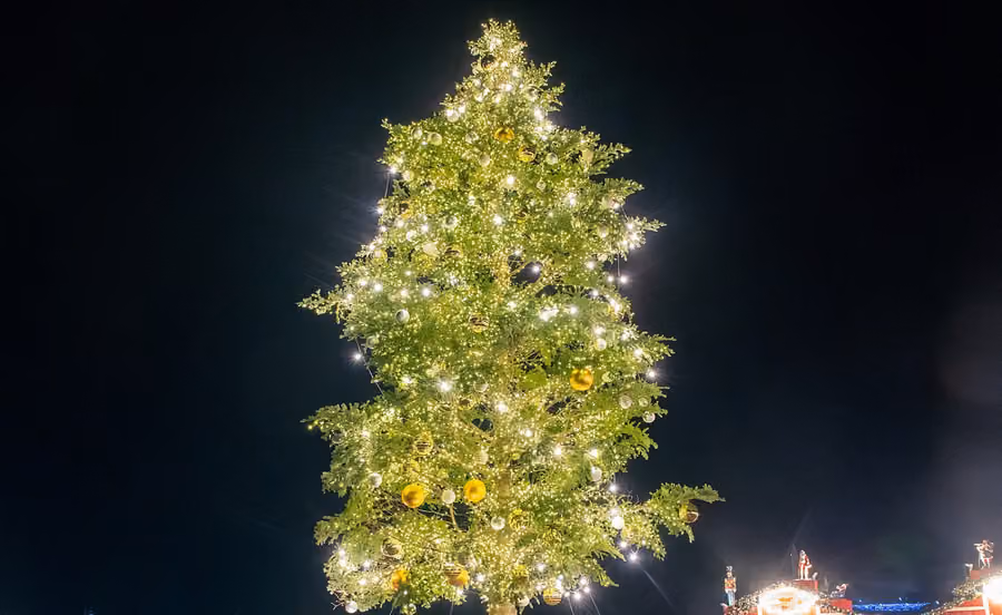 Tokyo Christmas Market 2026: dos sedes, Shin-Toyosu (desde el 20 de nov) y el parque Shiba (desde el 4 de dic)