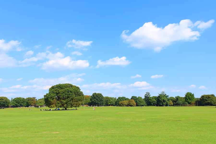 Showa Kinen Park