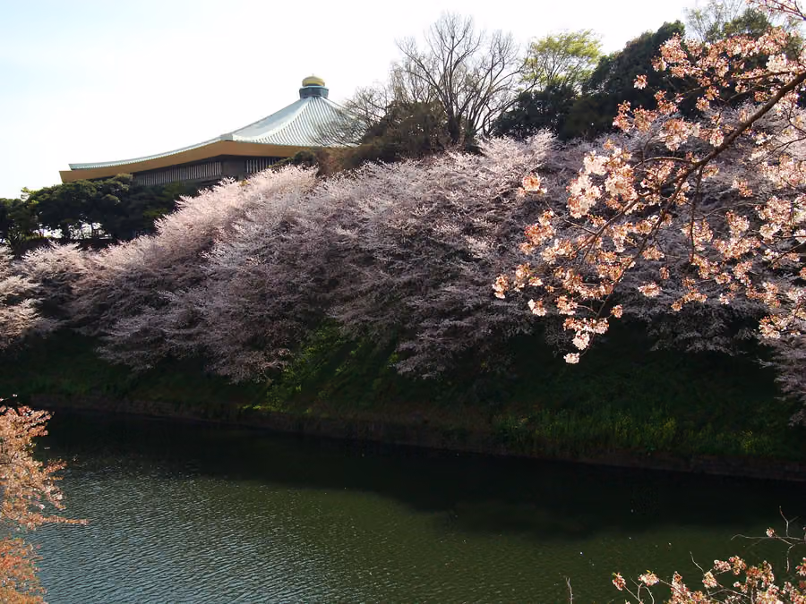 Kitanomaru Park
