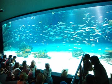 Sunshine Aquarium (Ikebukuro)