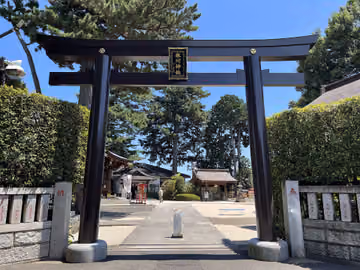 Torii y camino