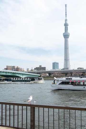 水上バス