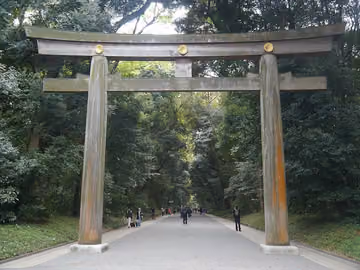 Mañana: Meiji Jingu