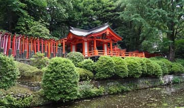 Nezu Shrine