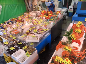 Mañana: Mercado Exterior de Tsukiji