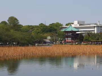 Estanque Shinobazu
